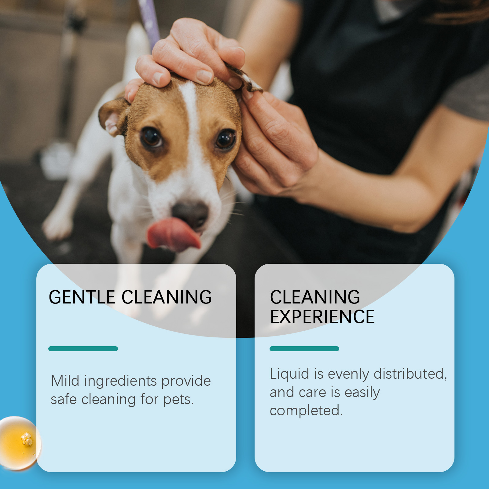 Oorreiniger voor huisdieren vo - Pet Ear Cleaner recensie en prijs