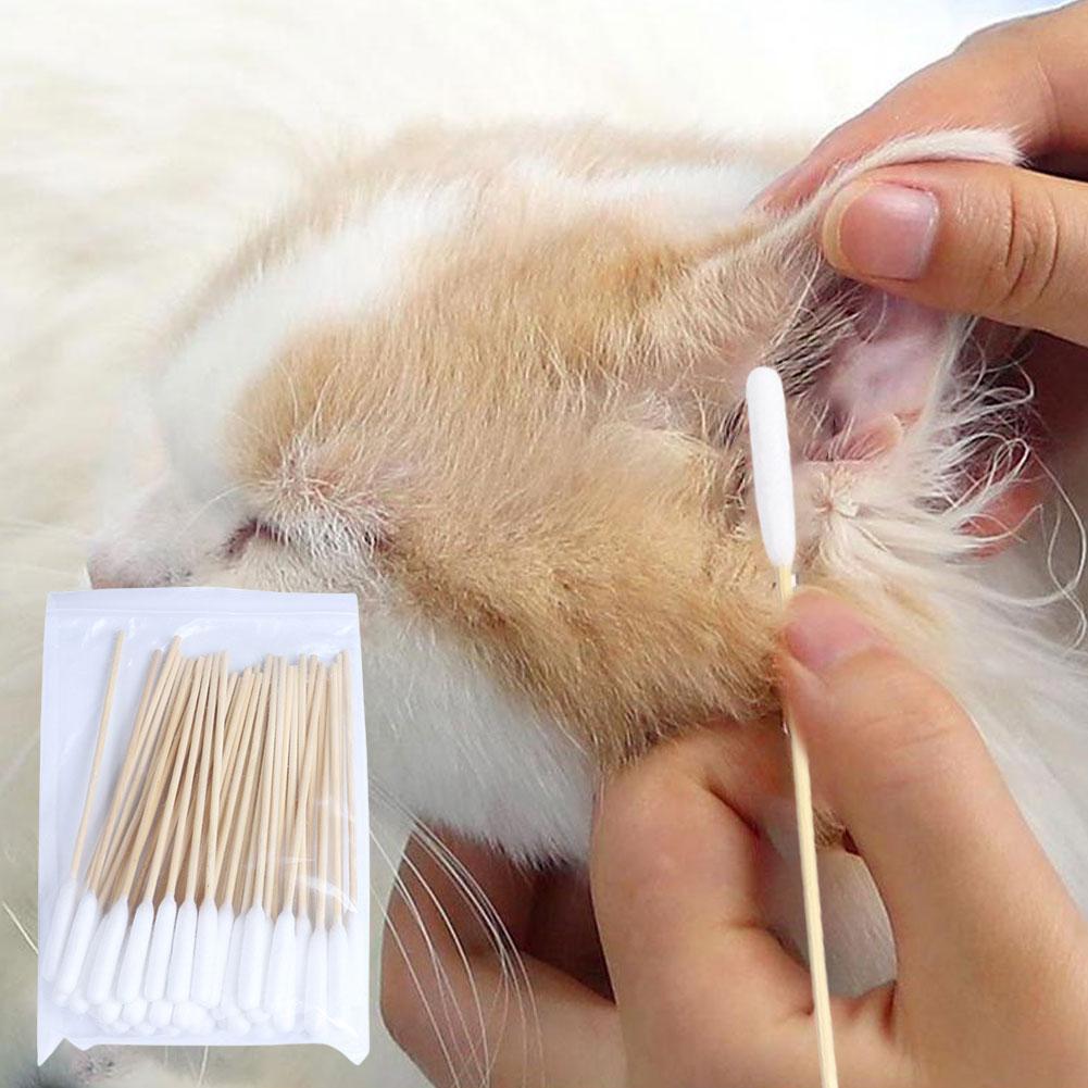 50/100 PCS Katoenen Sticks Hon - Pet Ear Cleaner recensie en prijs