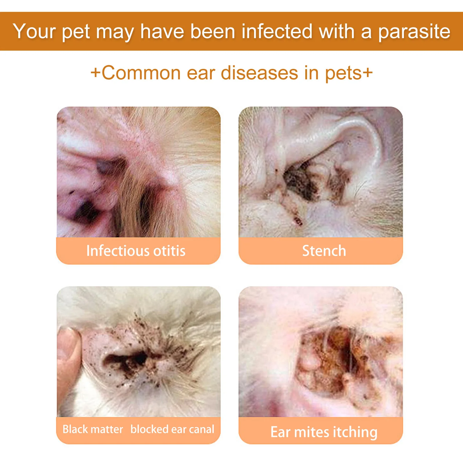 Huisdieren Oorreiniger Druppel - Pet Ear Cleaner recensie en prijs