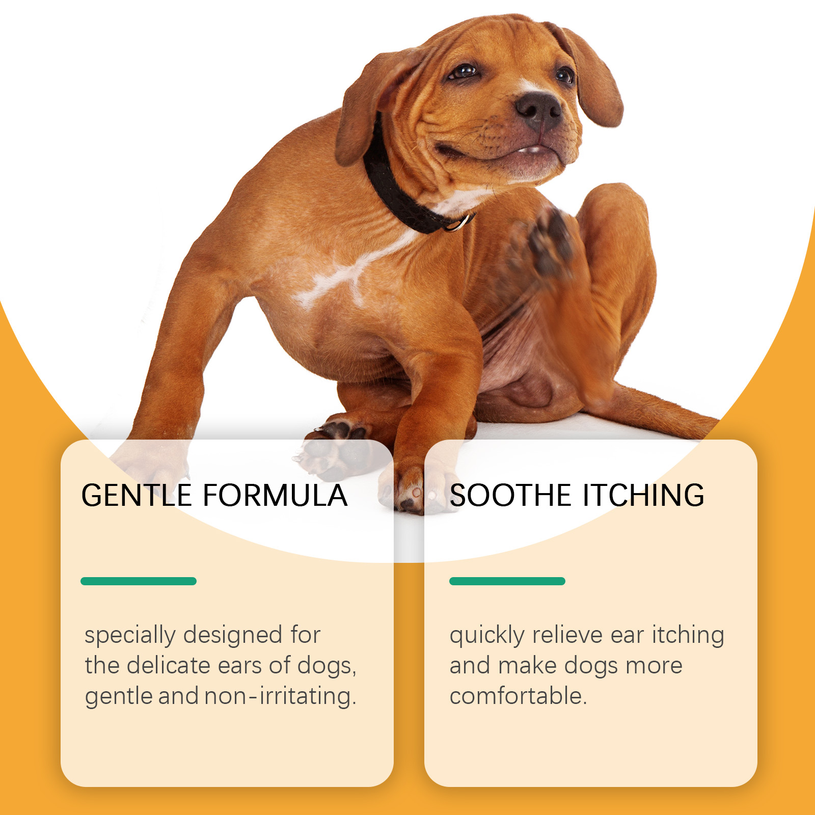 60ml Hond Oorverzorging Druppe - Pet Ear Cleaner recensie en prijs
