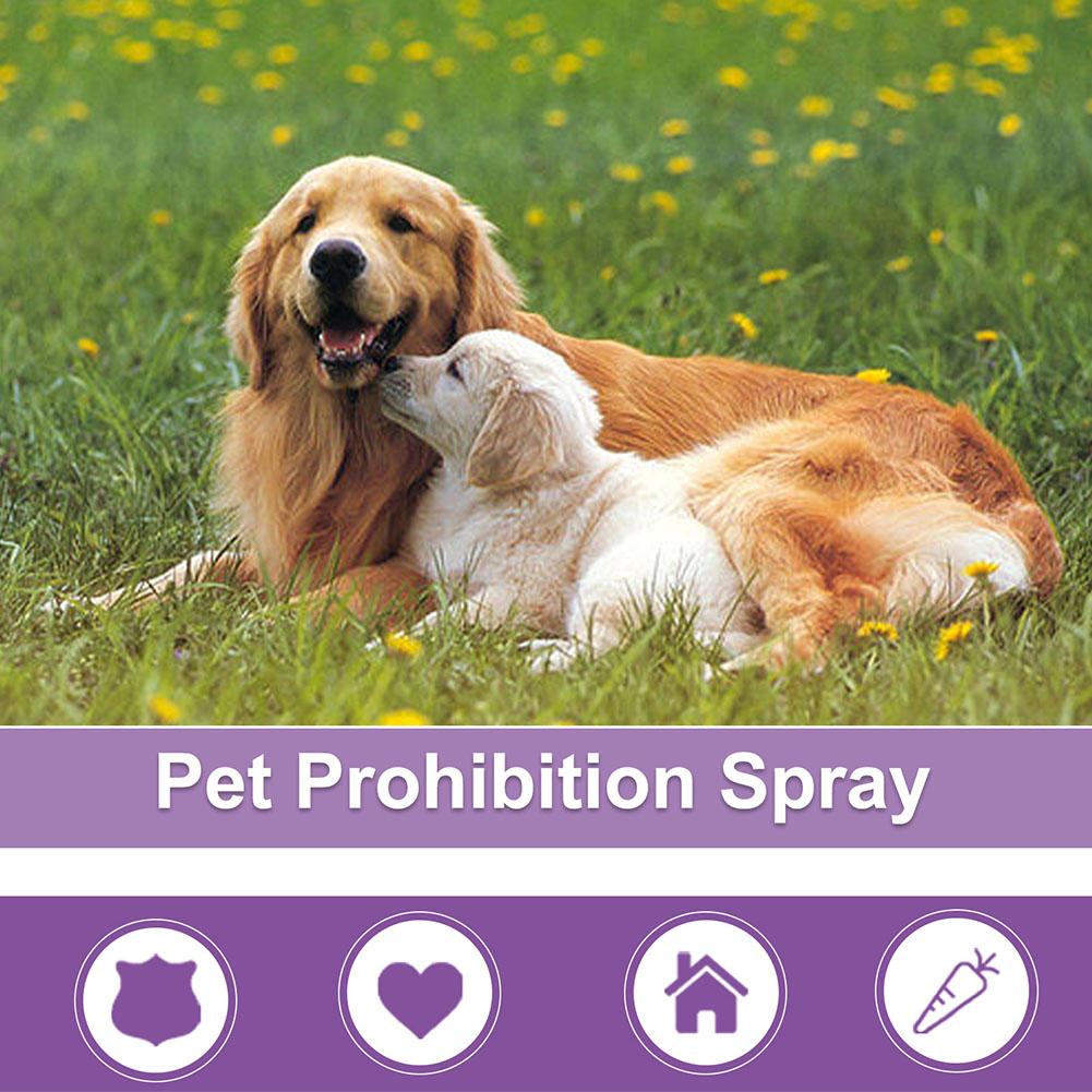 Kalmerende spray voor huisdier - Pet Supplies Nz recensie en prijs