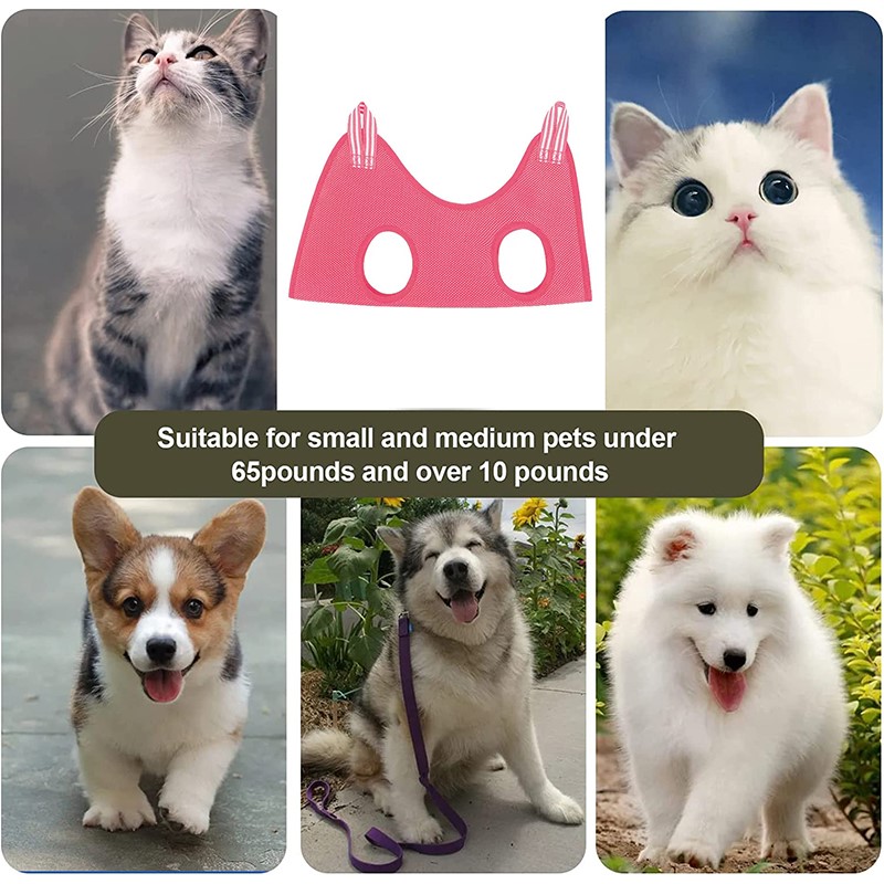 Huisdier Schoonheidshangmat Ha - Pet Supplies Nail Trim recensie en prijs