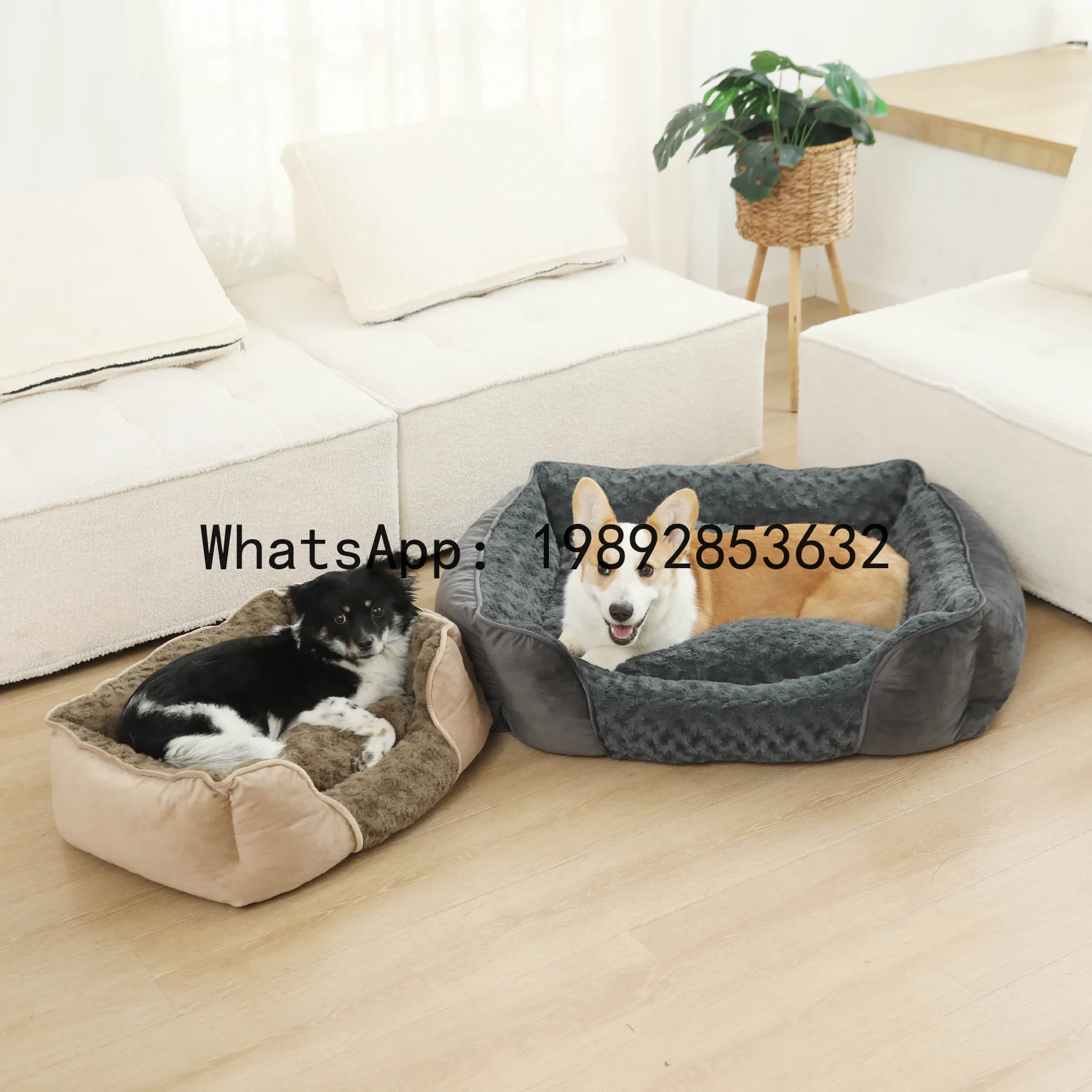 X kattenhuis semi-gesloten hon - Pet X Supplies & Tack recensie en prijs