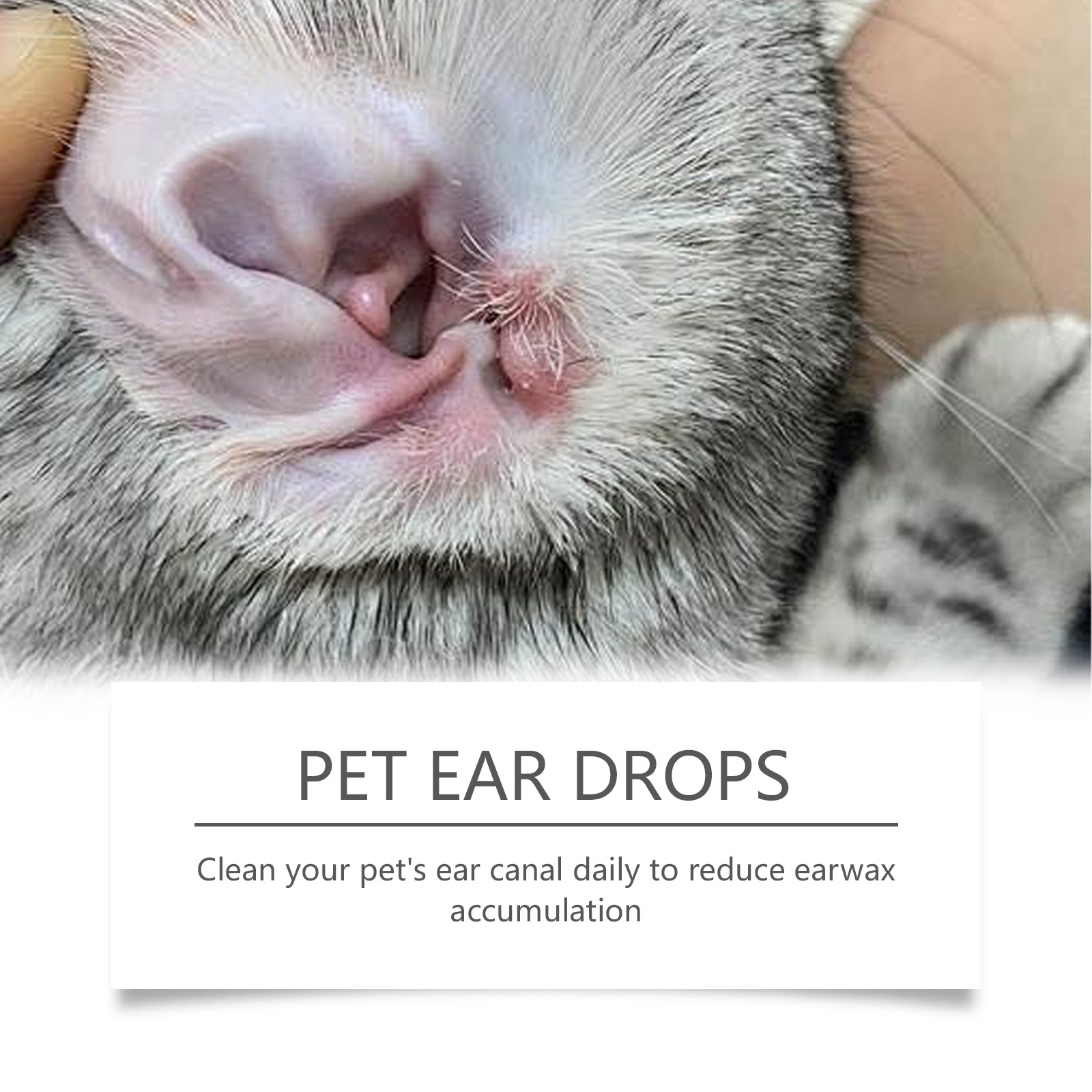 Huisdier Oorreiniger Verwijder - Pet Ear Cleaner recensie en prijs
