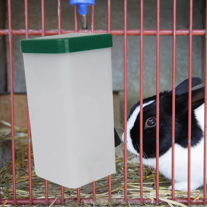 Huisdier Drinker Waterfles Dis - Pet Supplies Nz recensie en prijs