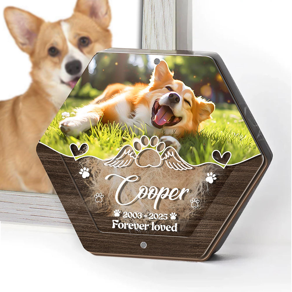 Gepersonaliseerde Naam Houten  - Pet Supplies Nz recensie en prijs