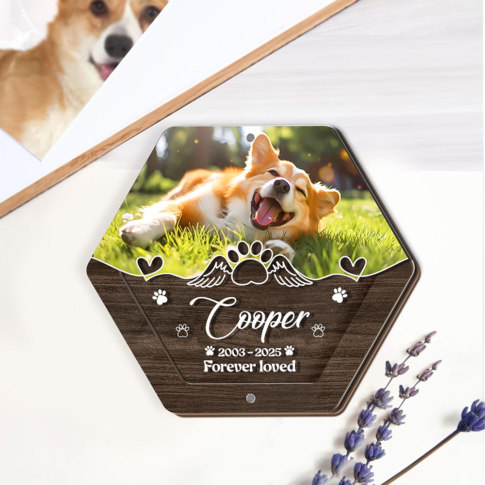 Gepersonaliseerde Naam Houten  - Pet Supplies Nz recensie en prijs