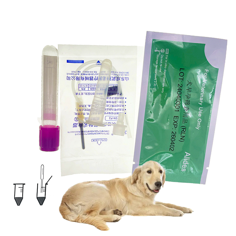 1Set/5Set Professionele Hond Z - Pet Supplies Nz recensie en prijs