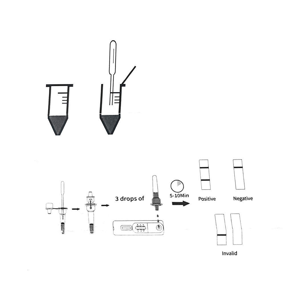 1Set/5Set Professionele Hond Z - Pet Supplies Nz recensie en prijs
