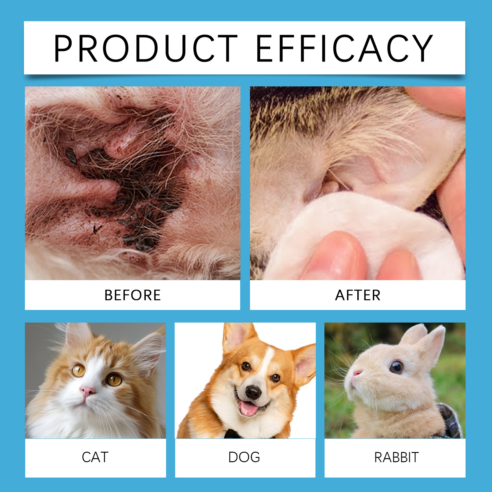 Oorreiniger voor huisdieren, o - Pet Ear Cleaner recensie en prijs