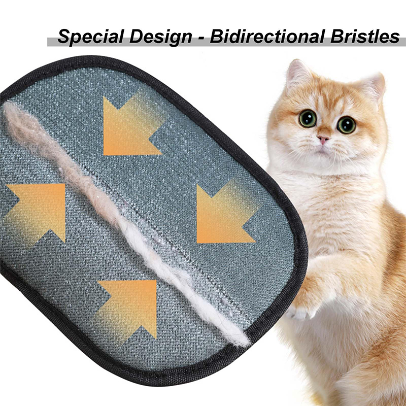 Nieuwe elektrostatische verzor - Pet Supplies Nz recensie en prijs