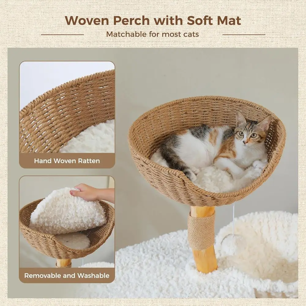 48,5 cm hoge massief houten ka - Cat Scratching Post recensie en prijs