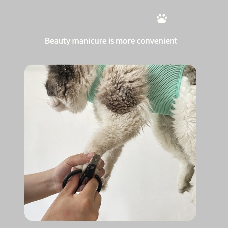 Cat Grooming nagel snijden ant - Pet Supplies Nail Trim recensie en prijs