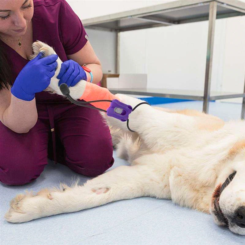 2026 Plastic Tourniquet voor h - Pet Supplies Nz recensie en prijs