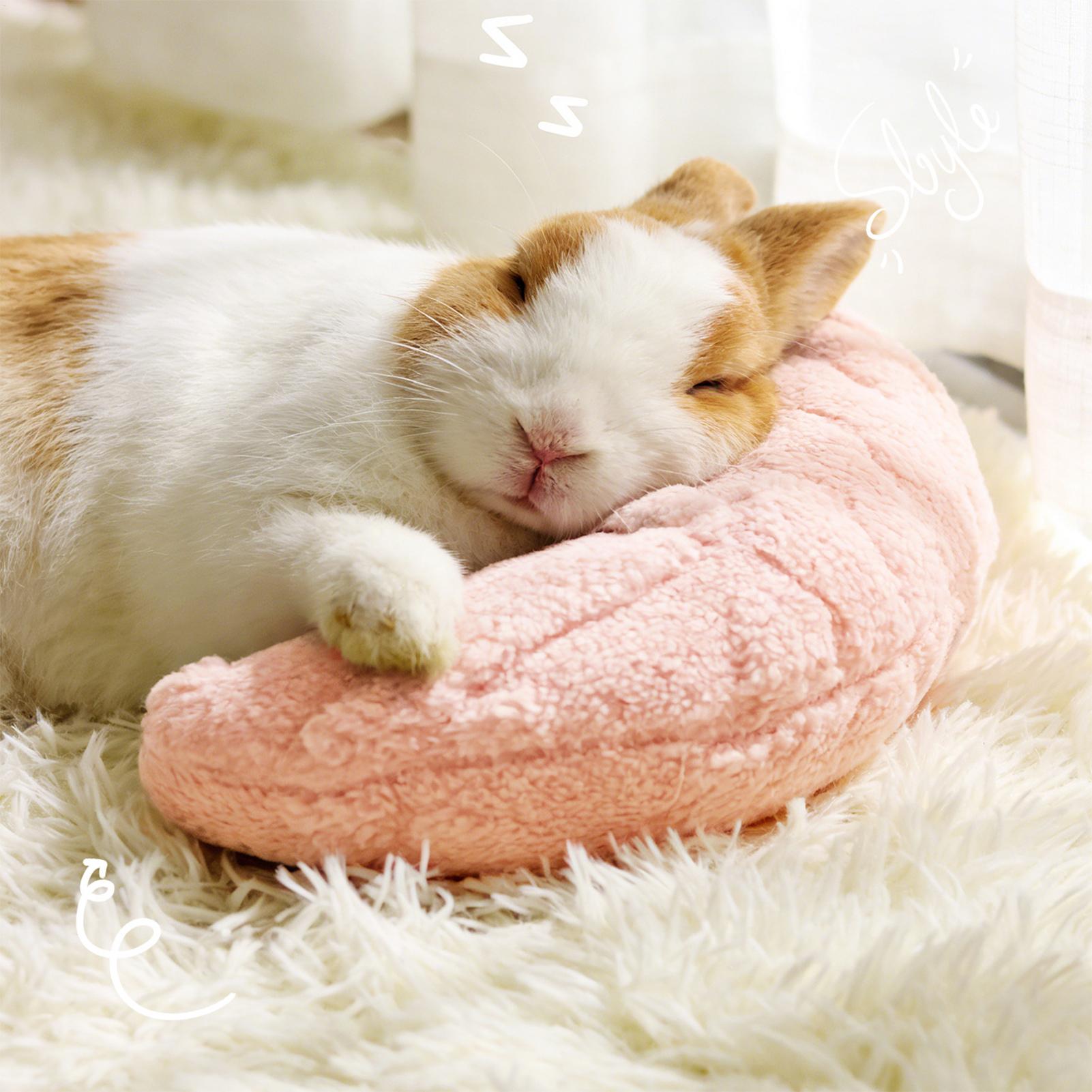 Pet Little Pillow Fashion Nekb - Pet Supplies Nz recensie en prijs